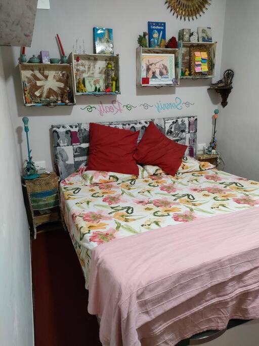 Apartment Volca Aiguanegra
