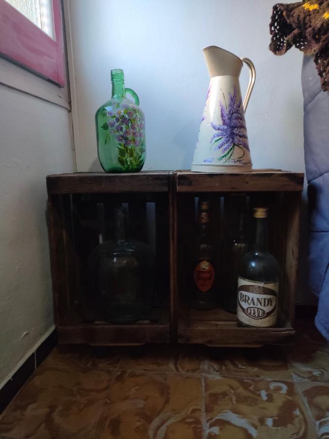 Volca Aiguanegra *